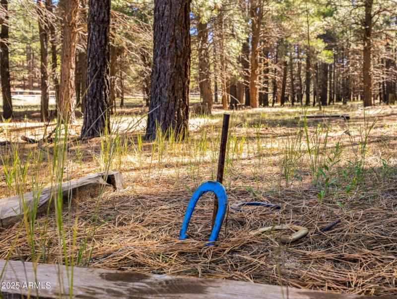 58-web-or-mls-3328 Crimson Rd-159