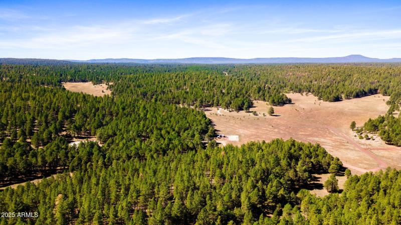 79-web-or-mls-3328 Crimson Rd-165