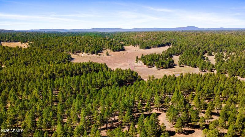 82-web-or-mls-3328 Crimson Rd-168