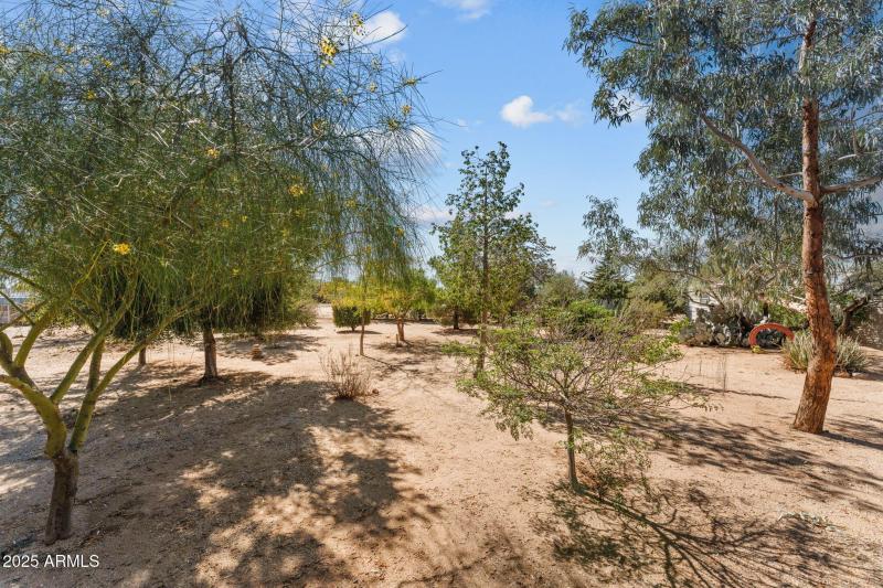 Large landscaped lot