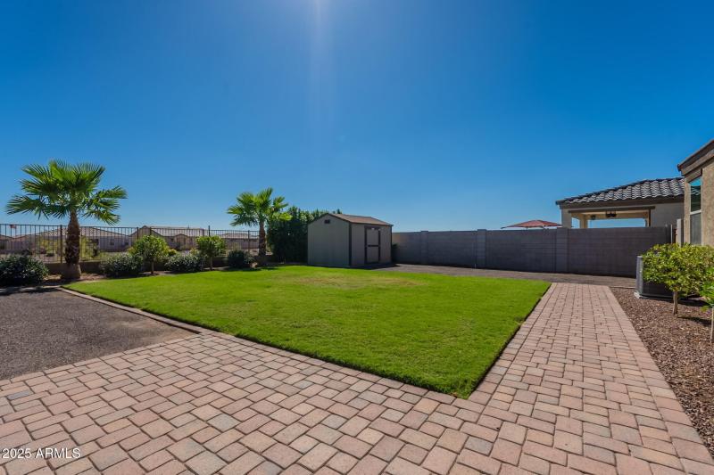 Backyard2