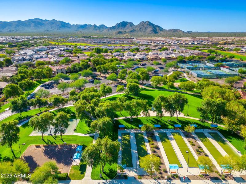 Sun City Festival - 30