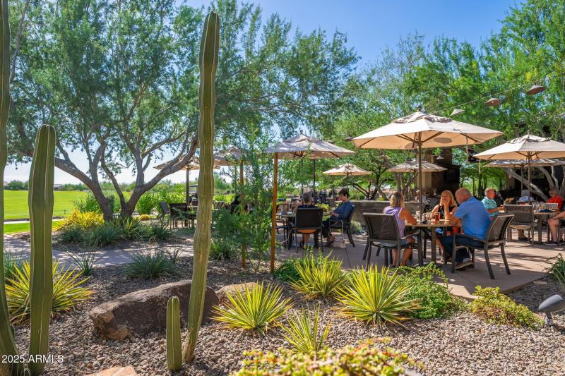 Sun City Festival - 44