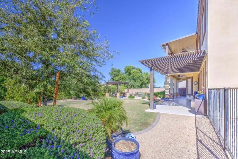 Restort Back Yard