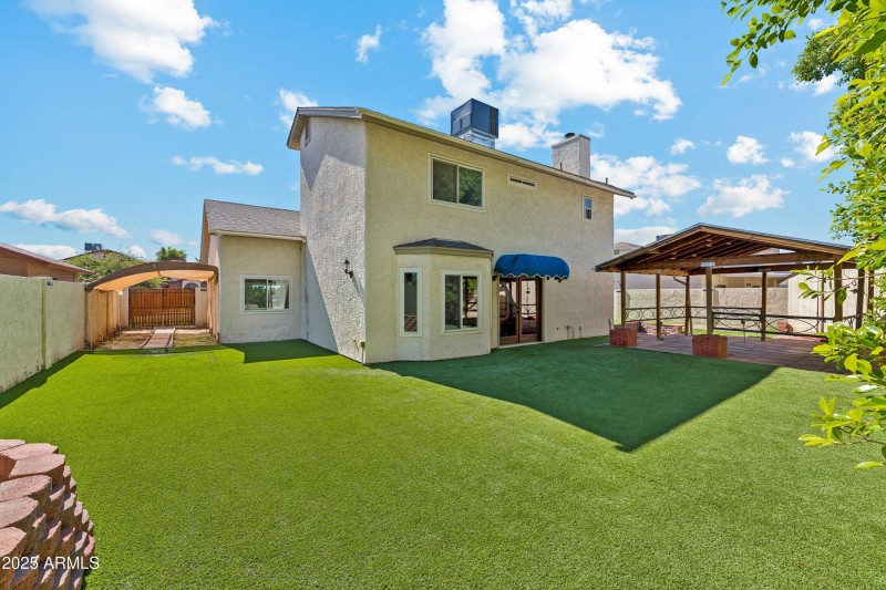 Backyard
