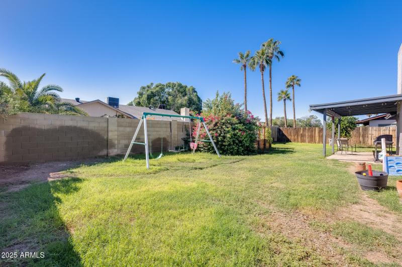 Back Yard