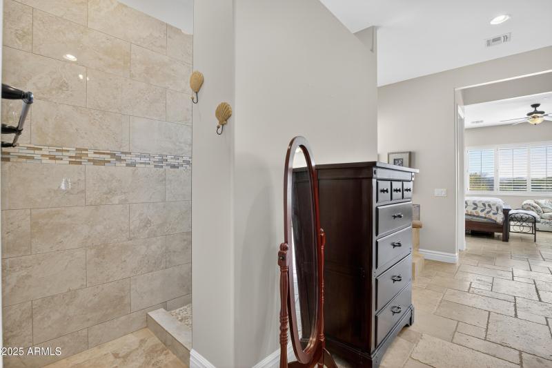 Primary Shower