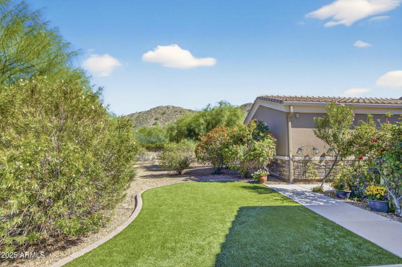 Turf Front Yard