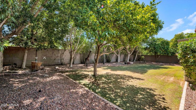42-web-or-mls-P1119647