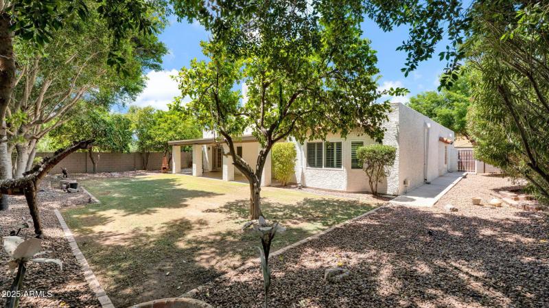 43-web-or-mls-P1119646