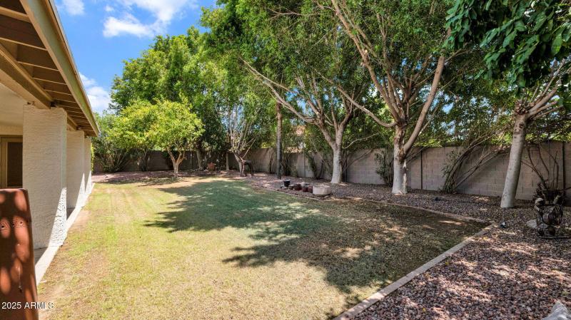 46-web-or-mls-P1119643