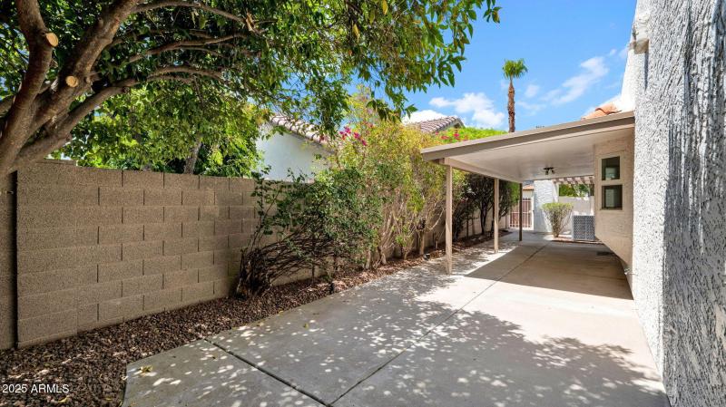 49-web-or-mls-P1119640