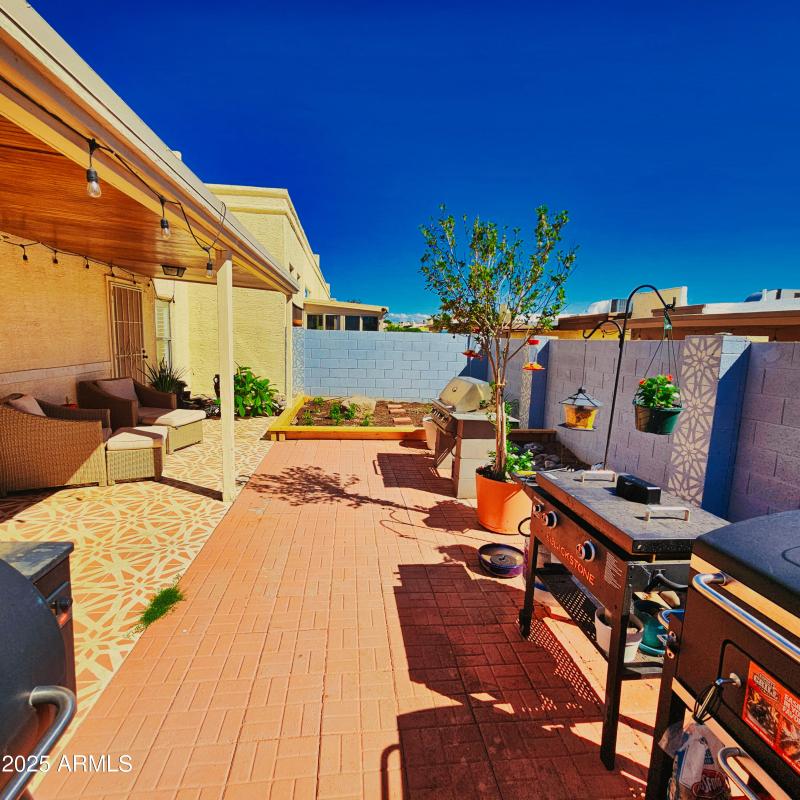 Back Yard