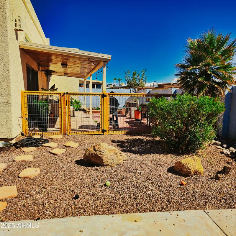 Side Yard/Dog Run