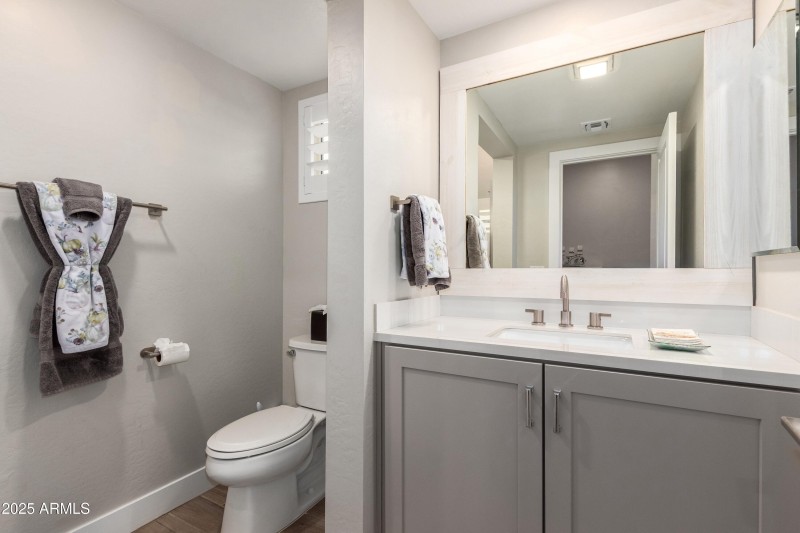 Downstairs bath with shower