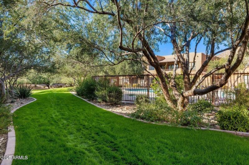 Grassy Area