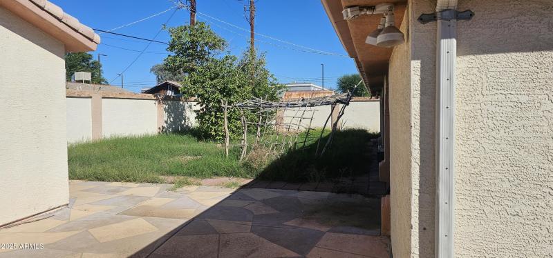 Backyard2