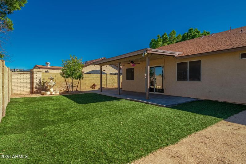 Back Yard