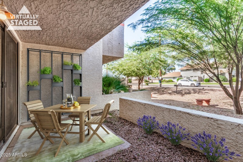 Amazing Patio