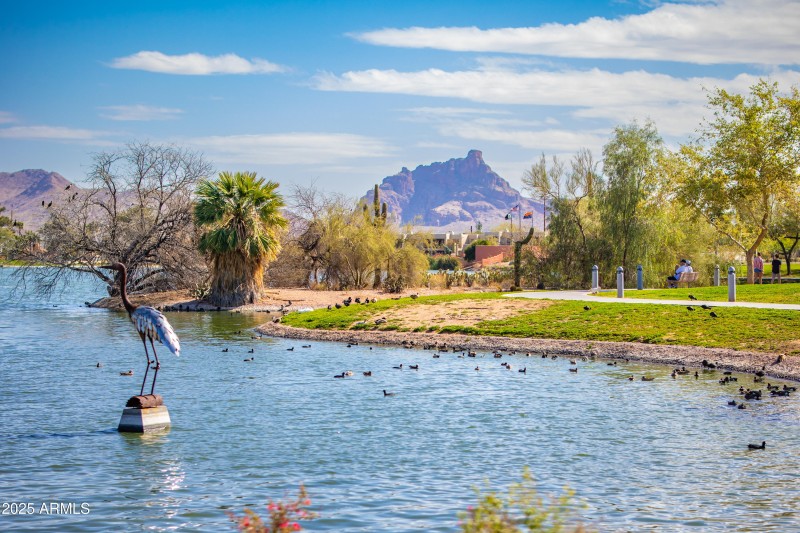 Fountian Hills Community Park