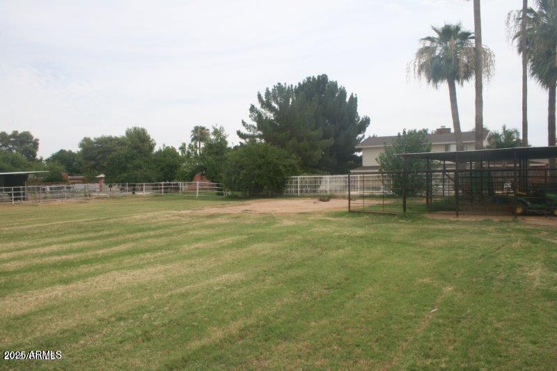 Back Yard3