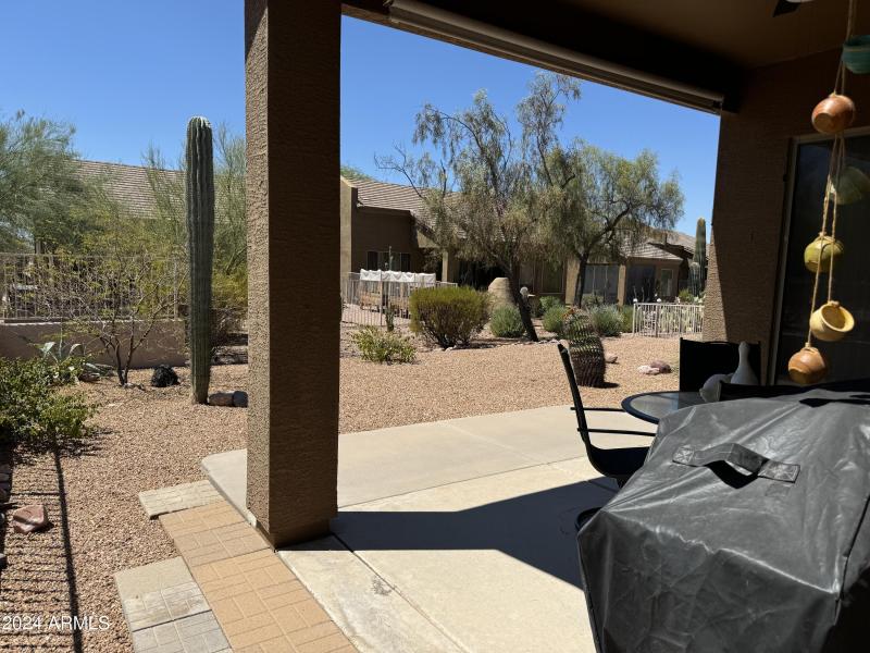 Backyard backing to wash