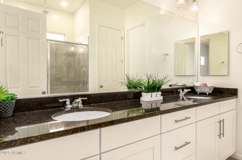 19 - Swayback 10502 - Copy - Copy - Copy