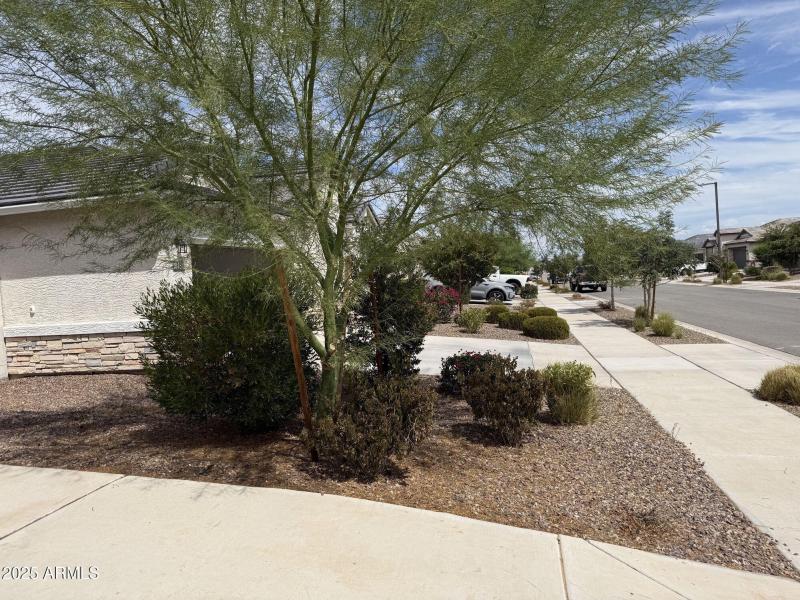 Front Yard 2