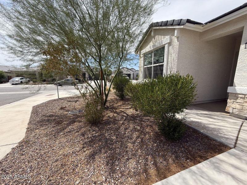 Front Yard 4