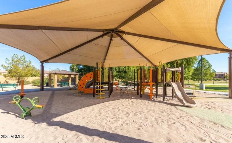 Sun Groves Comm Pics 3