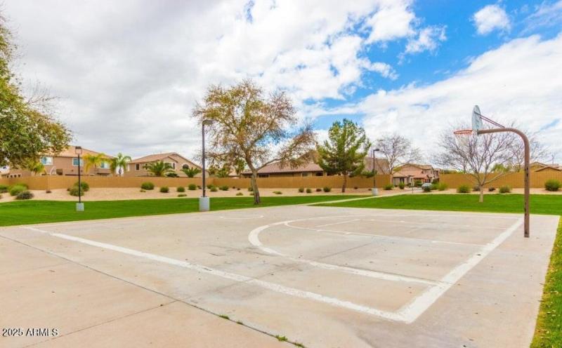 Sun Groves Comm Pics 5