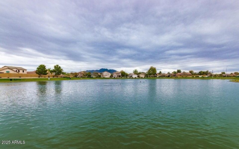 Sun Groves Comm Pics 6