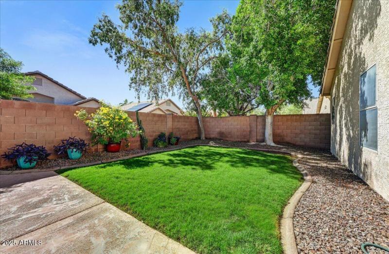 15-Backyard