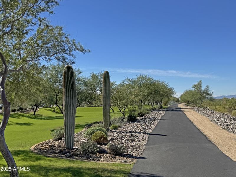 Northlands Walking Path