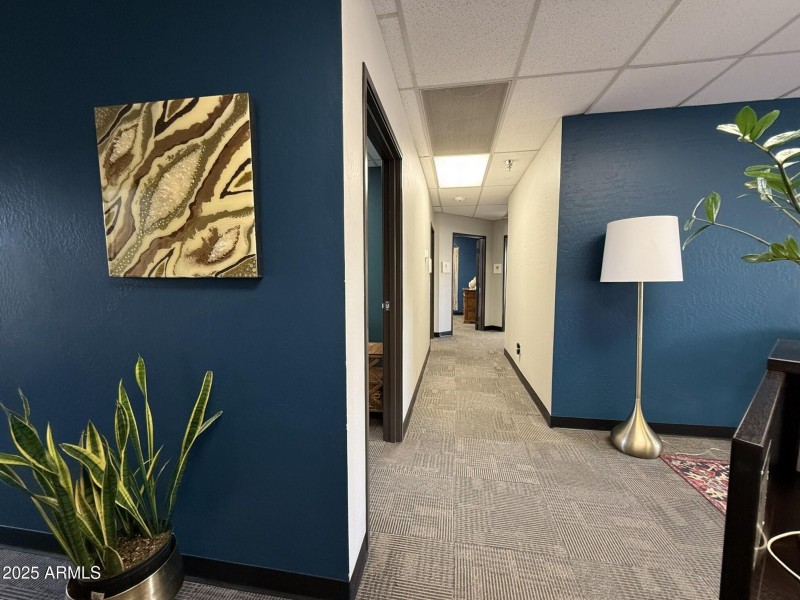 Suite 505 Reception