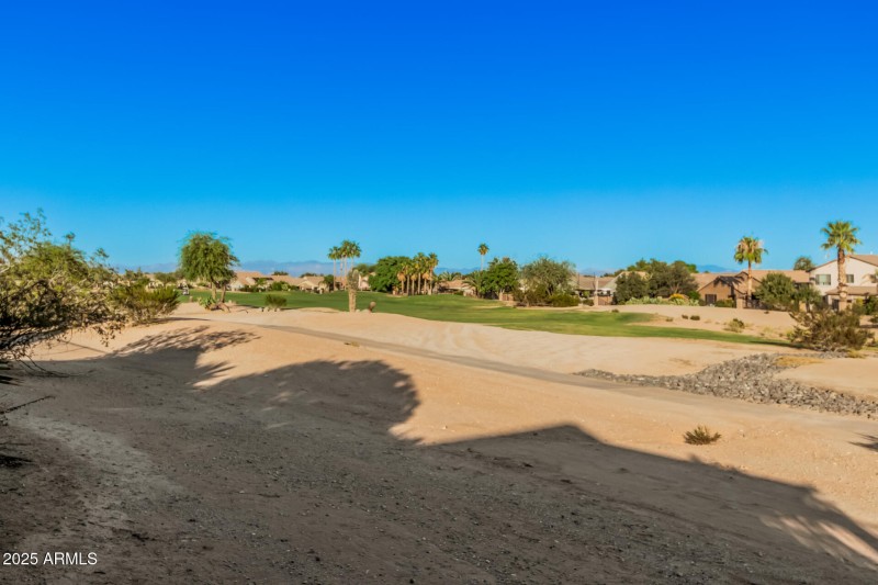 view from the backyard