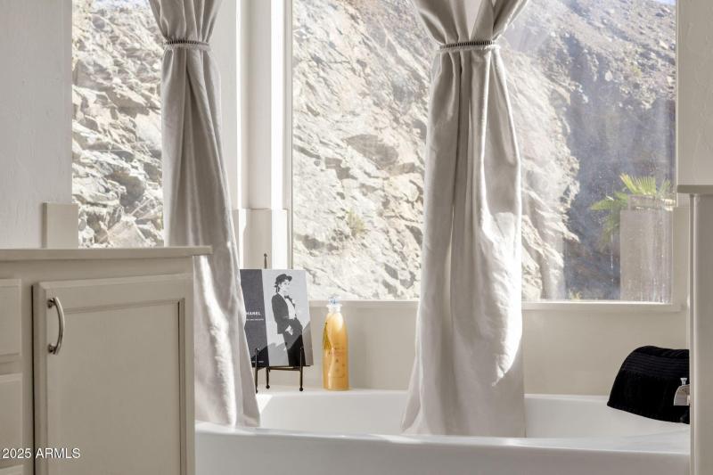 Views from Primary Bathroom