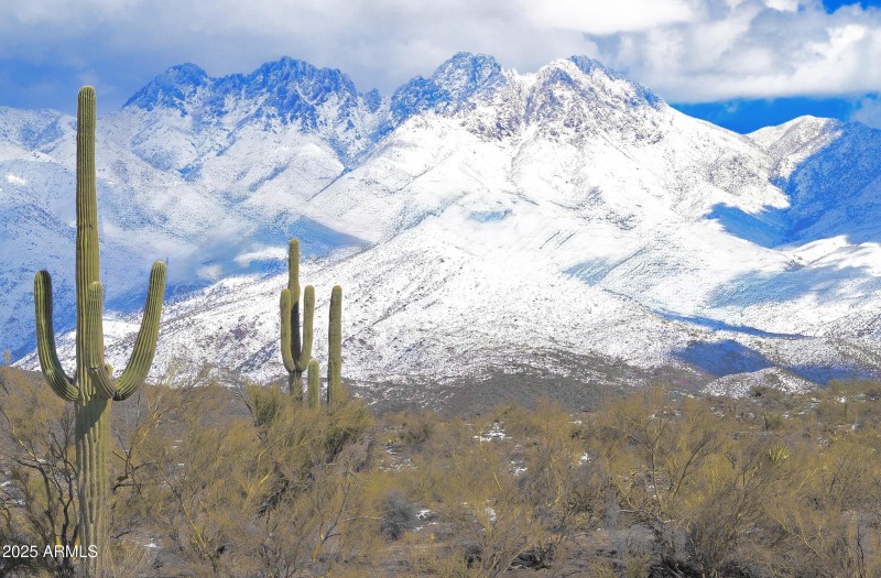 0BCDBB44-92CB-4EB2-A1BD-DCE7D4E2E2F8_1_2