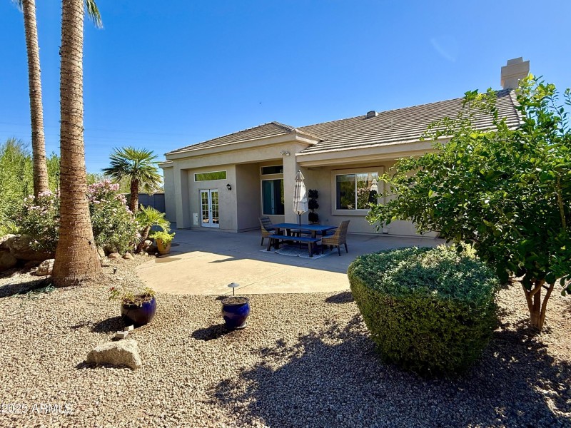 Low Maintenance Yard