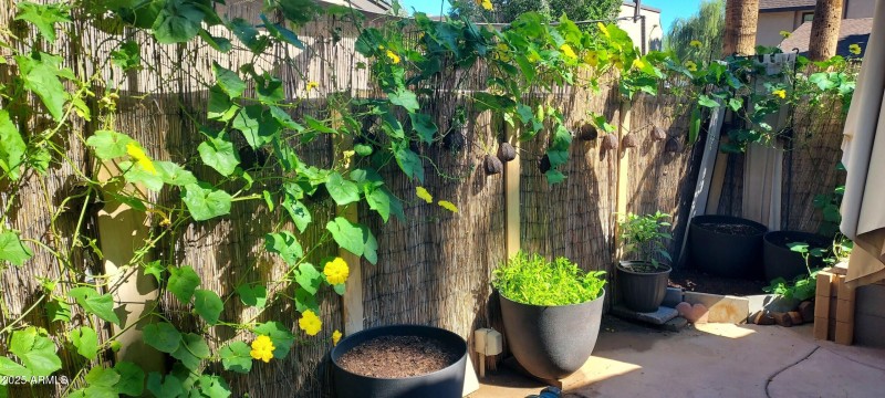 Resized_20251021_113613