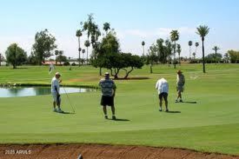 sun city golfers