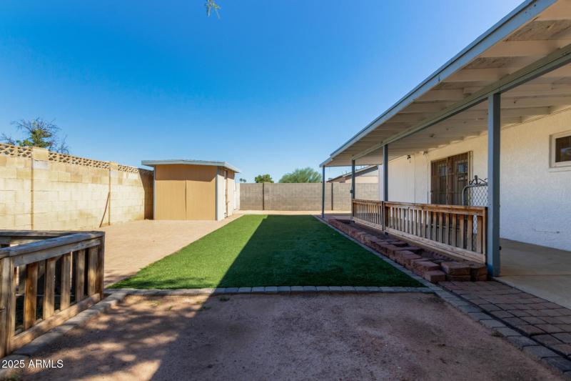 Backyard