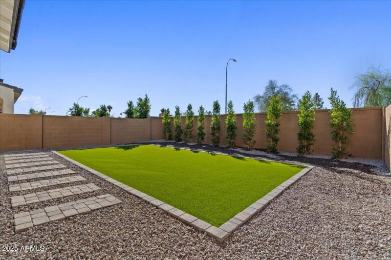 50-Back yard