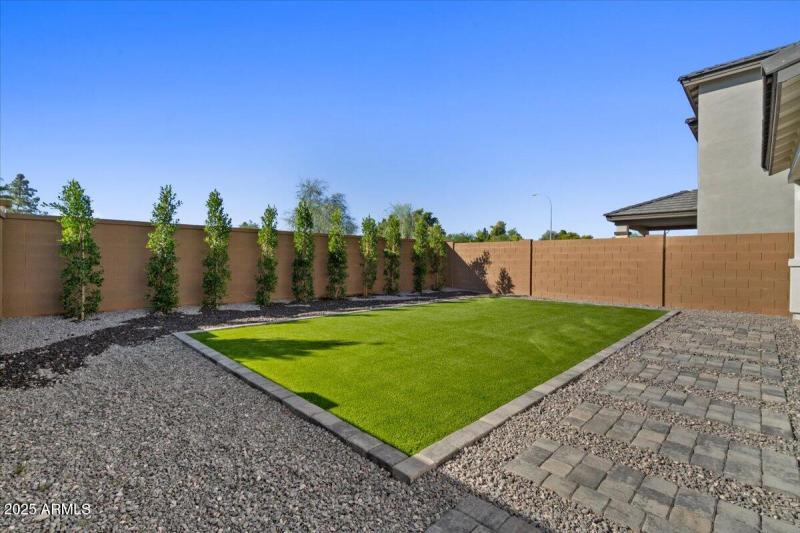 54-Back yard