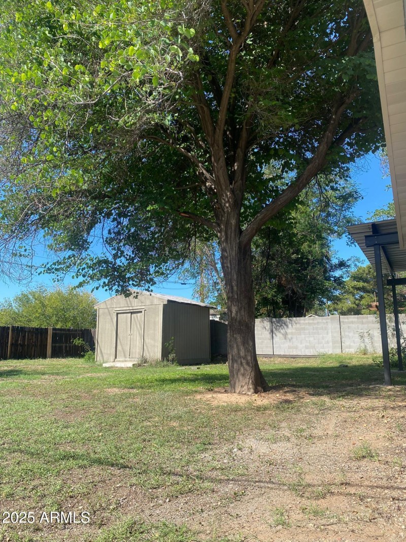 Backyard