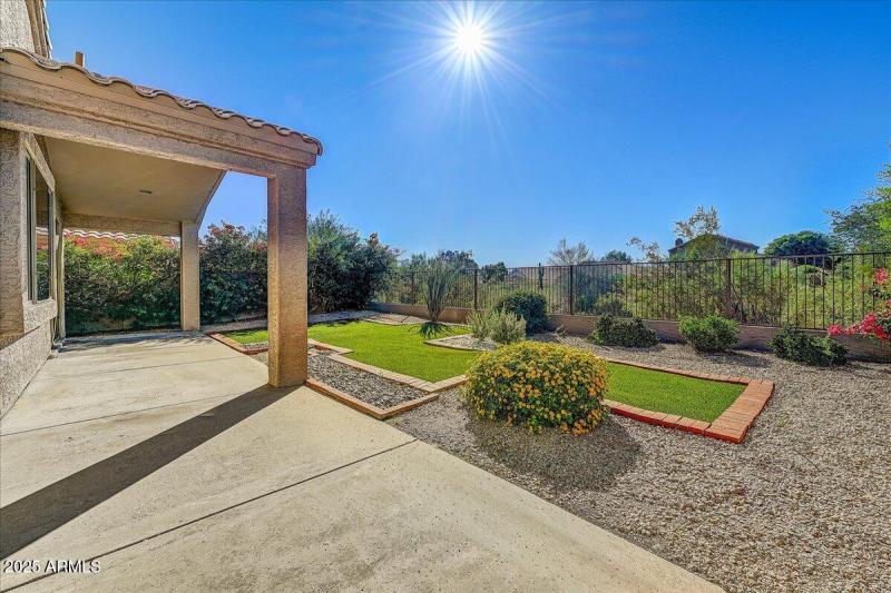 22-Backyard Sun