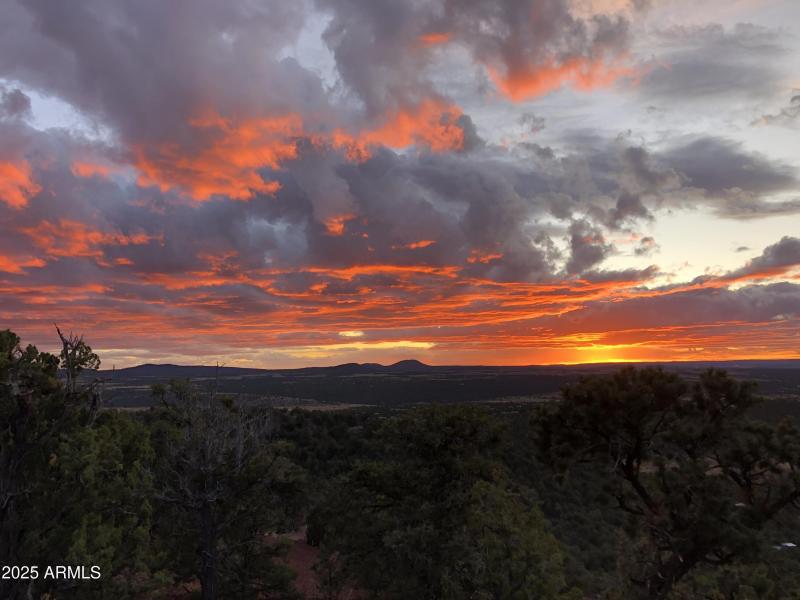 Owners library of stunning photos