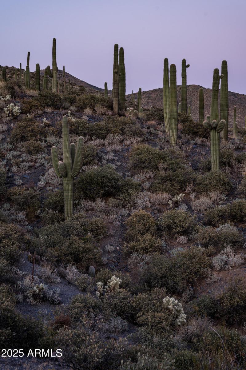 9108 N Grapevine Pass Lot 338-27