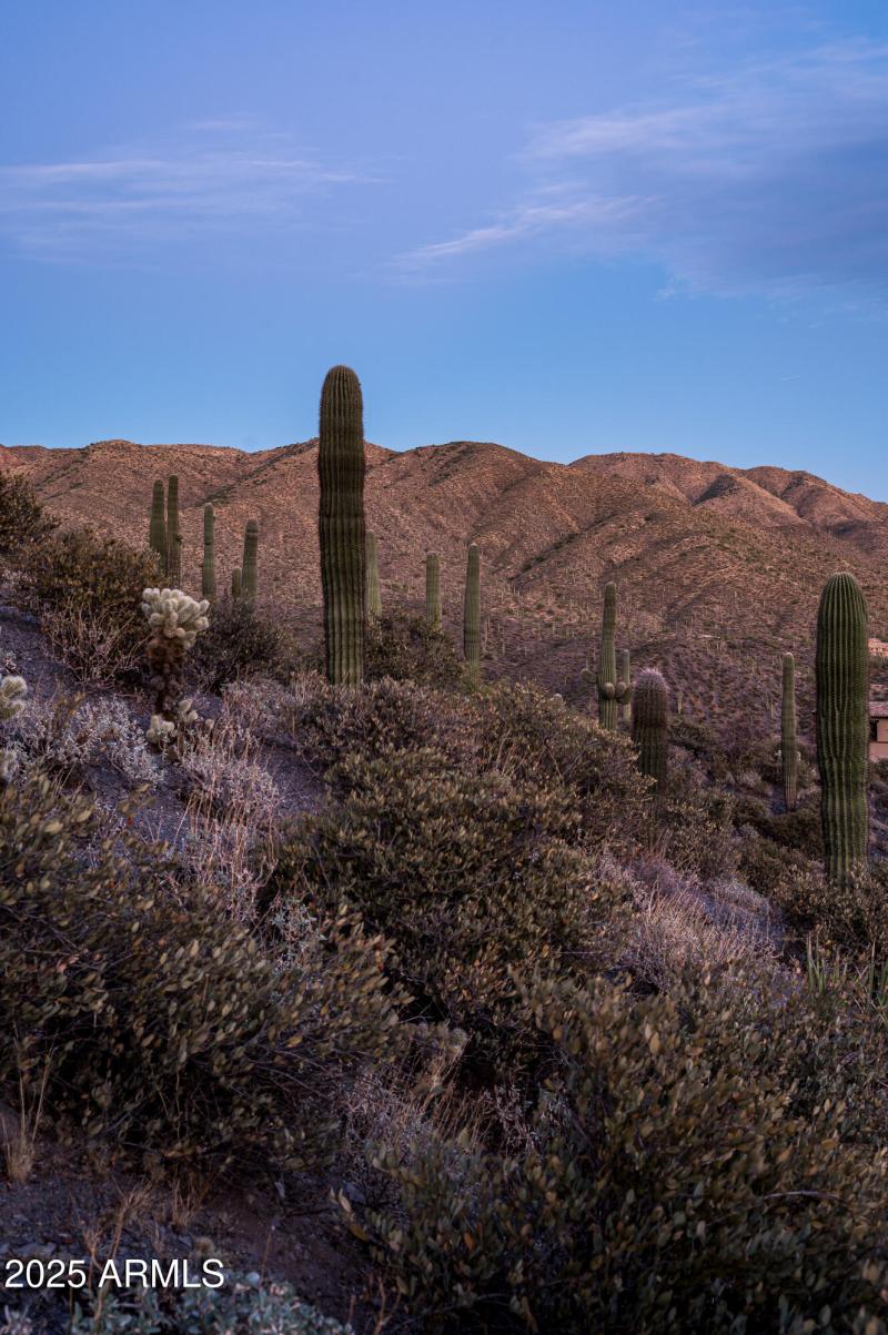 9108 N Grapevine Pass Lot 338-21