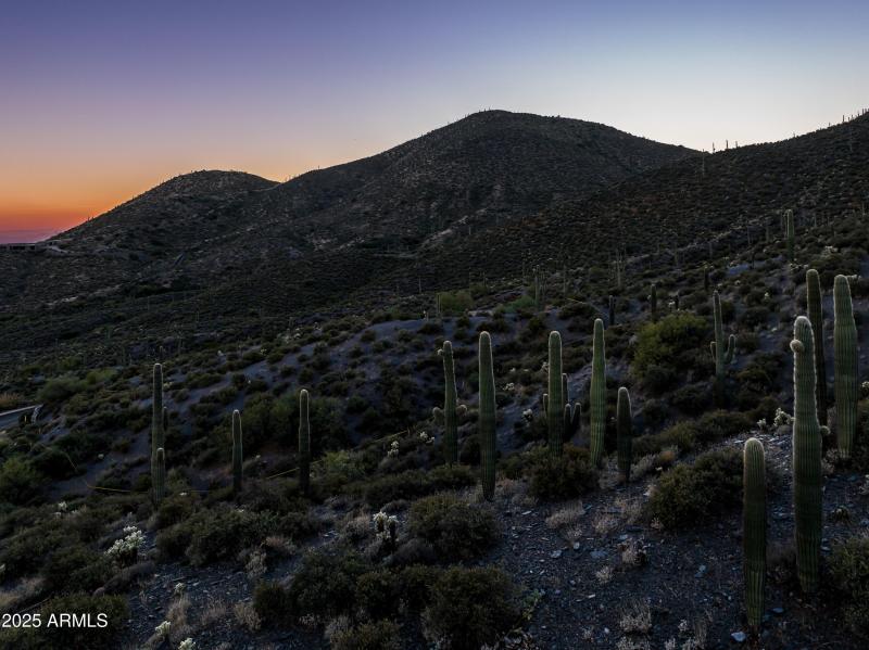 9108 N Grapevine Pass Lot 338-12